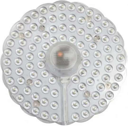 Lightex Dekorative Tischlampe LED Natürliches Weiß Panel Lightex Dekorative Tischlampe LED Natürliches Weiß Panel