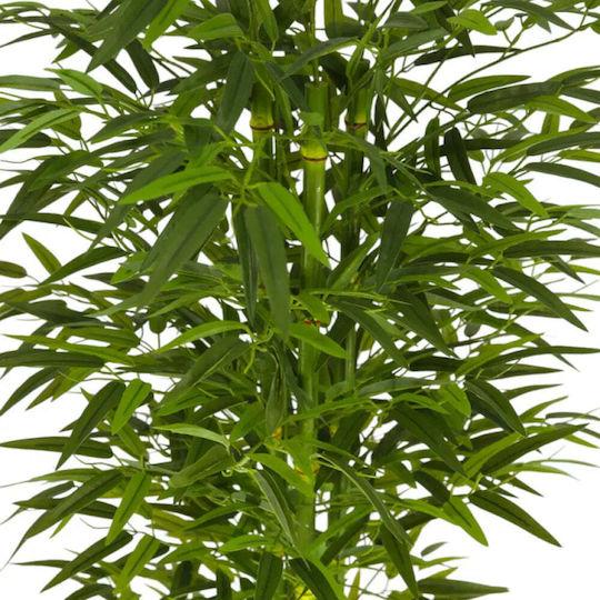 Künstliche Bambuspflanze 155cm Hd Hd-10971