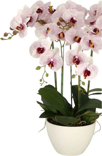 Artificial Orchid Plant 70cm Hd Hd-10994