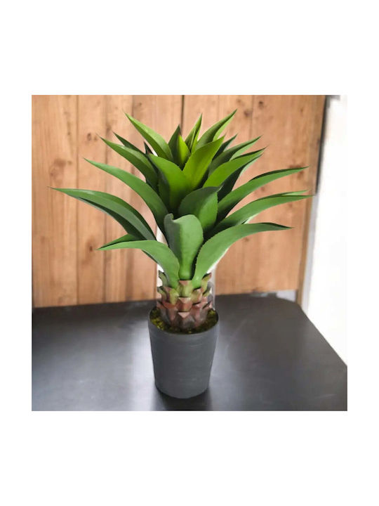 Artificial Agave Plant 82cm Hd Hd-10986