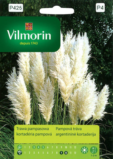 Semințe Pampas Grass Vilmorin