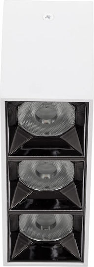 kelvo LED Natural White Spot with 13 Lights in White Colour
