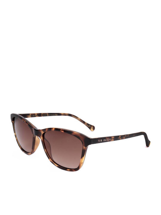 Ted Baker Tba Tb1440 Sunglasses Brown With Frame