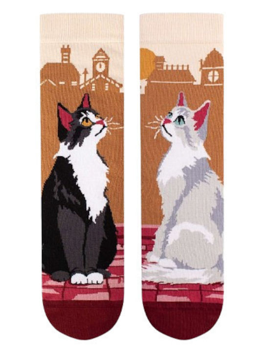 Pirin Hill Arty Burgundische Socken