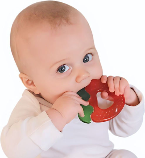 Bo Jungle Teething Rattle with Water 2 Pieces