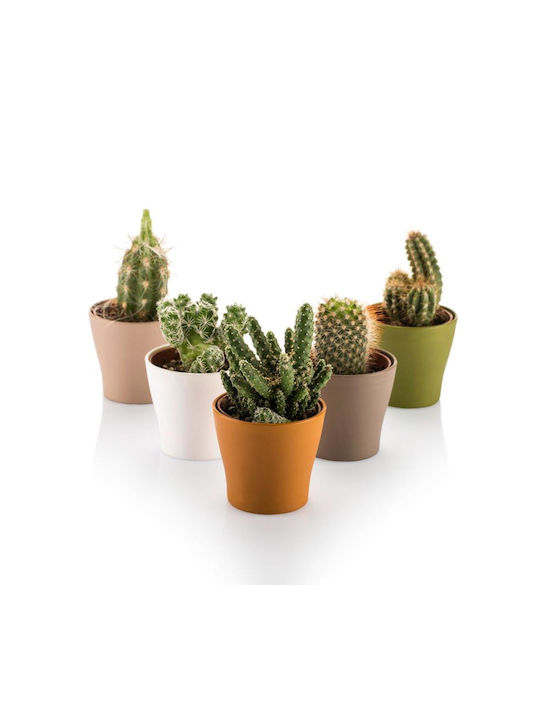 Cactus Pot 10.5cm Gardenia Pastel