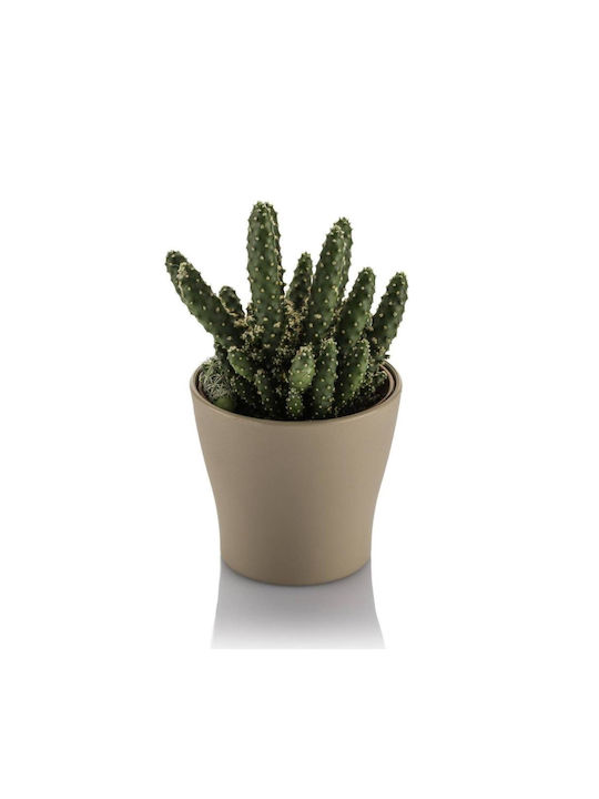 Cactus Pot 10.5cm Gardenia Pastel