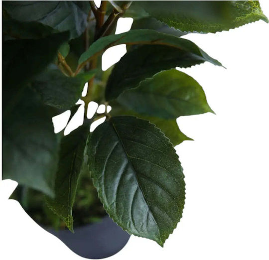 Artificial Plant Ficus 65cm Hd Hd-10982