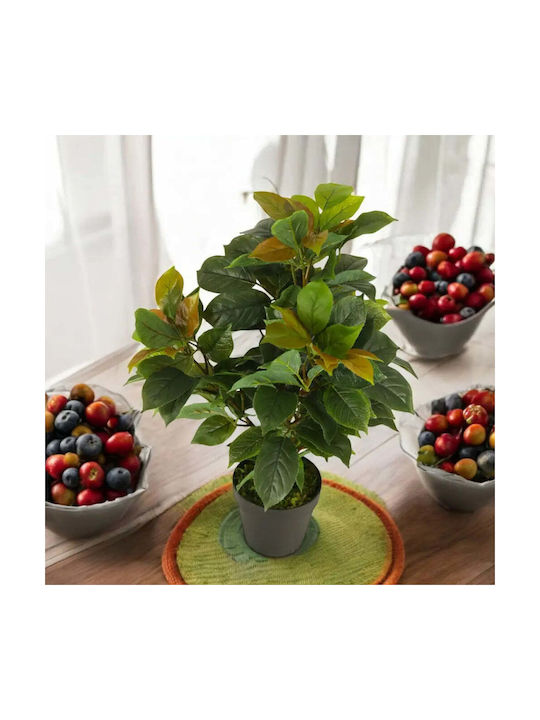 Künstliche Topfpflanze Ficus 65cm Hd Hd-10982