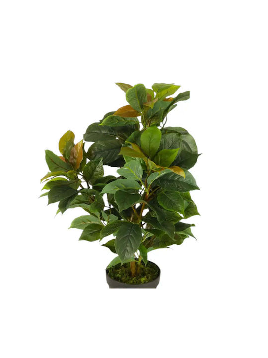 Künstliche Topfpflanze Ficus 65cm Hd Hd-10982