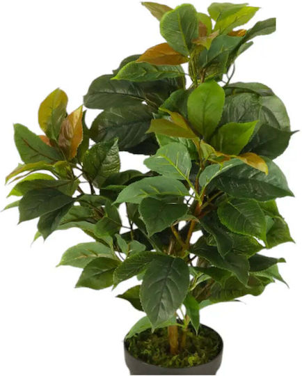 Artificial Plant Ficus 65cm Hd Hd-10982