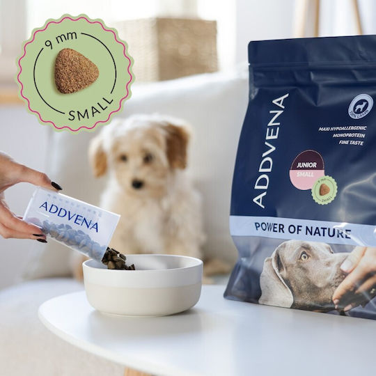 Nature 2.5kg Dry Dog Food for Small Breed Puppies