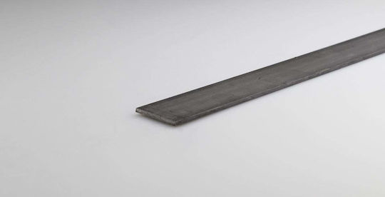Steel Straight Profile 10x2mm/1m