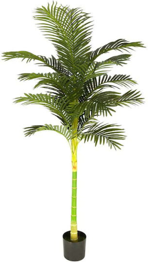 Изкуствено Растение Палма Areca 210см HD HD-10974