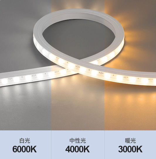 Alista Home LED Lumini Suspendate Negru Alista Home LED Lumini Suspendate Negru