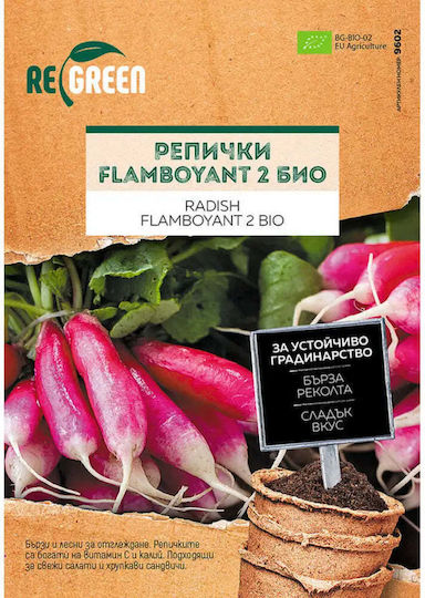 Organic Flamboyant 2 Семена Репички Regreen