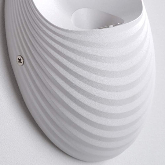 Exterior Wall Light Shell 5w 3000k White