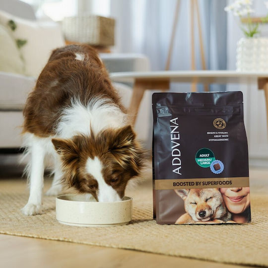 Dog Food 2.5kg Dry Dog Food Grain-Free for Adult Dogs of Medium & Large Breeds with Beef