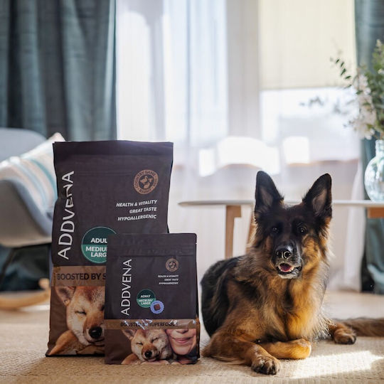 Dog Food 2.5kg Dry Dog Food Grain-Free for Adult Dogs of Medium & Large Breeds with Beef