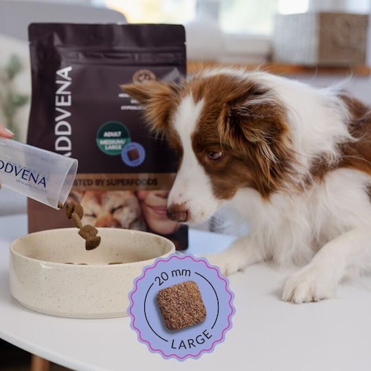 Dog Food 2.5kg Dry Dog Food Grain-Free for Adult Dogs of Medium & Large Breeds with Beef