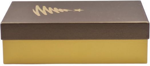 DS Boxes Χριστουγεννιάτικο Κουτί για Δώρο Χρυσό 33.5x9.5x20εκ.
