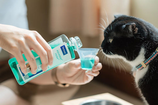 Virbac Vet Aquadent за Кучета и Котки против Зъбен Камък и Плака