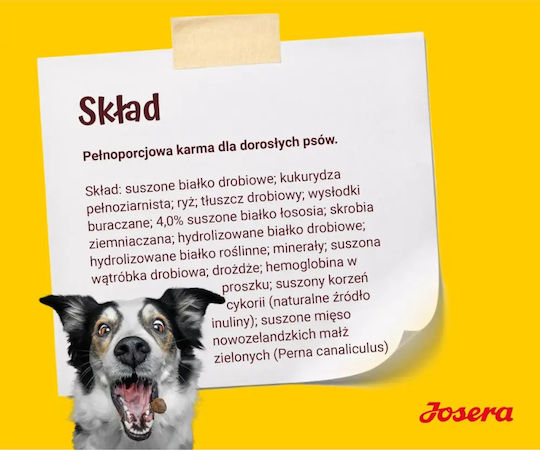 Josera Festival 12.5kg Dry Food for Dogs Gluten-Free with Salmon