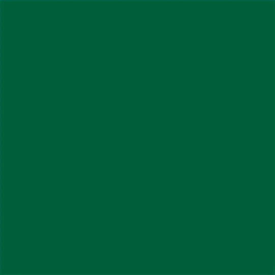 Email Rapid Uscare 650 Ml Verde Închis Dekorator