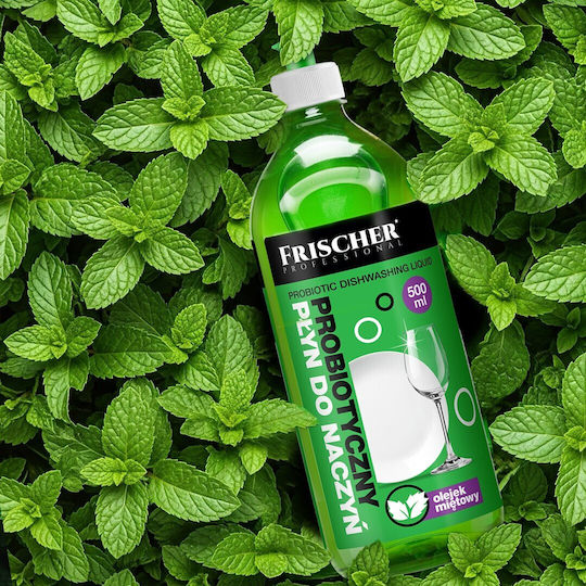 Frischer Washing-Up Liquid 500ml