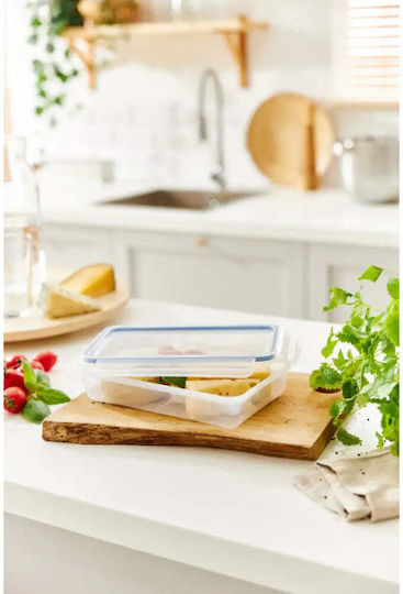 Rotho Babydesign Koziol Kunststoff Mittagsbox 1lt