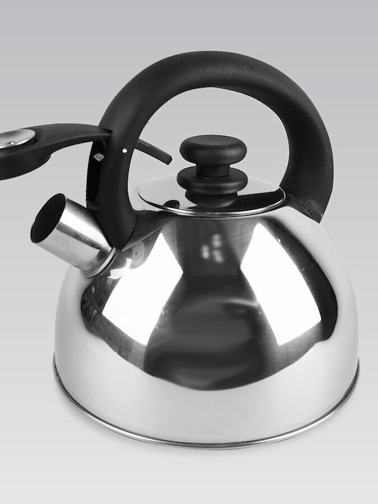 Maestro Stainless Steel Gray Teapot 2000ml