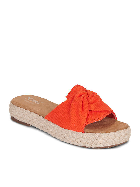 Toms