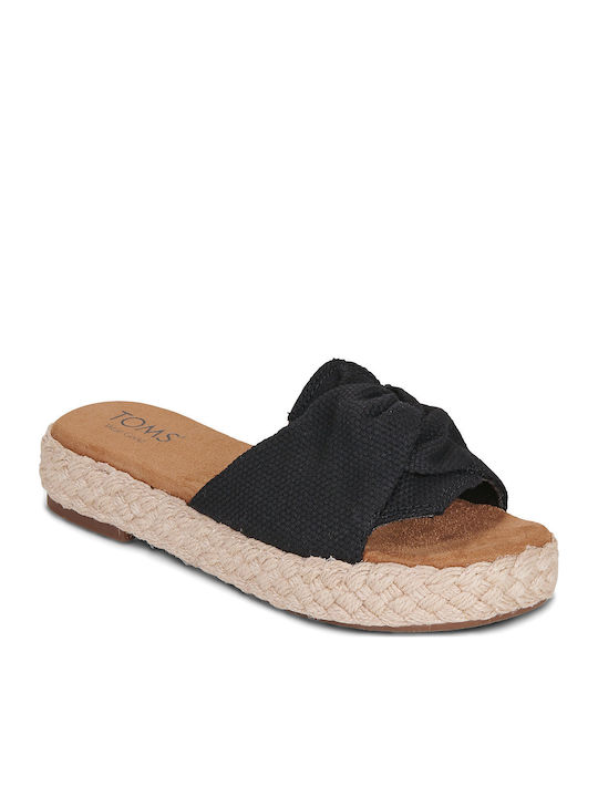 Toms