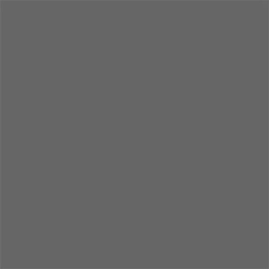 Extra Alkyd Farbe 650 Ml Ral 7046 Dekorator