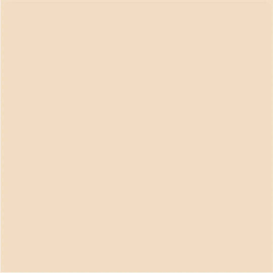 Interior Paint Silicone Apricot Color 2.5 L Aquis