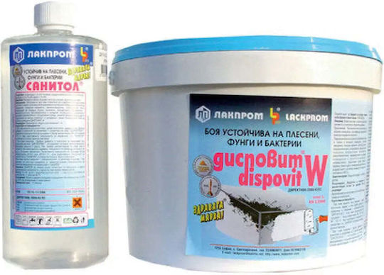 Paint Wet Rooms W Lackprom Dispovit