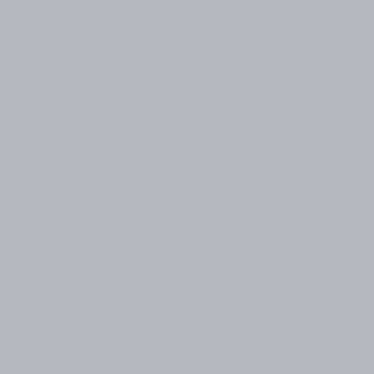 Silk Paint Light Gray 650 Ml Aquis