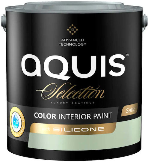 Interior Silicone Paint Spring Field 2.5 L Aquis