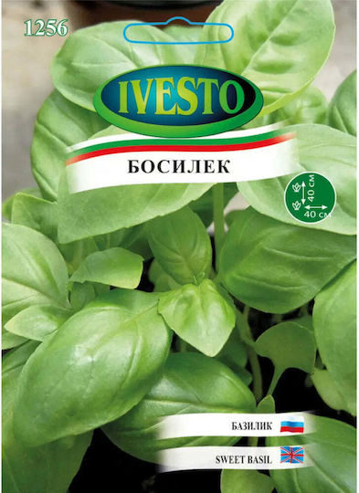 Ivesto Basil Seeds