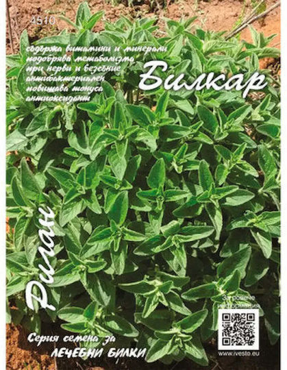 Bilkar Oregano Seeds