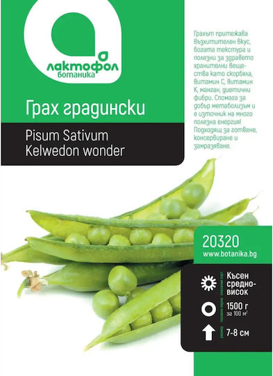 Semințe De Mazăre De Grădină Rondo Botanic