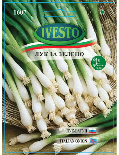 Шавел Ivesto Лукови Луковици В Свързки