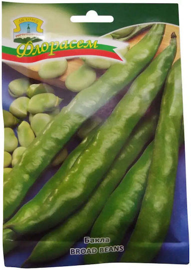 Fava Bean Seeds