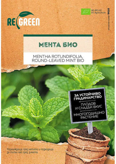 Organic Mint Seeds Regreen