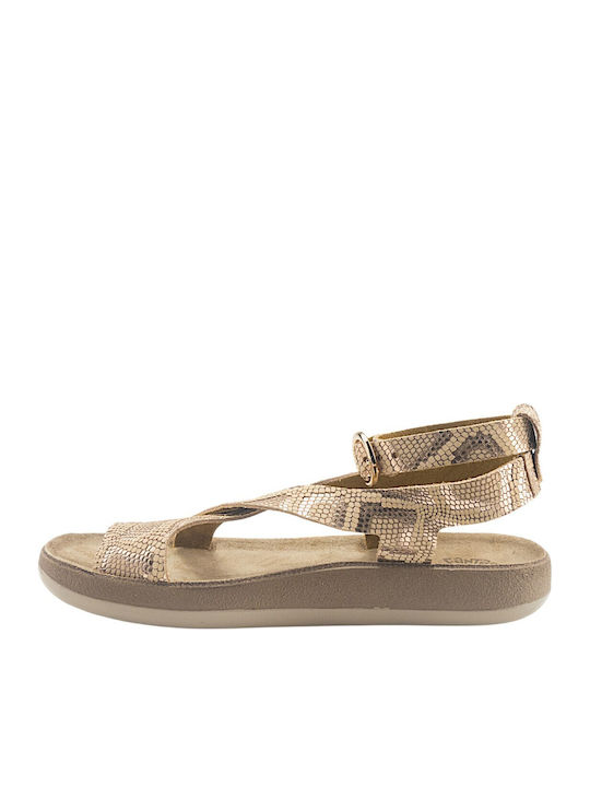 Fantasy Sandals