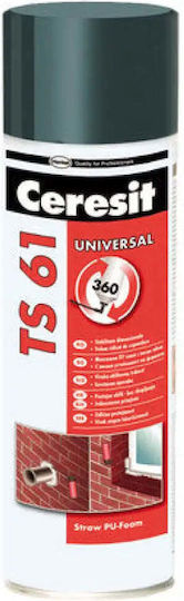 Ceresit Ts61 Mounting Pu Foam