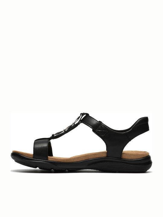 Clarks