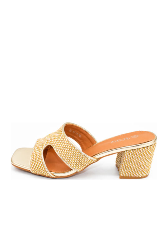 Mules With Chunky Low Heel In Gold Colour SJ-KK-1306-26ML-Gold