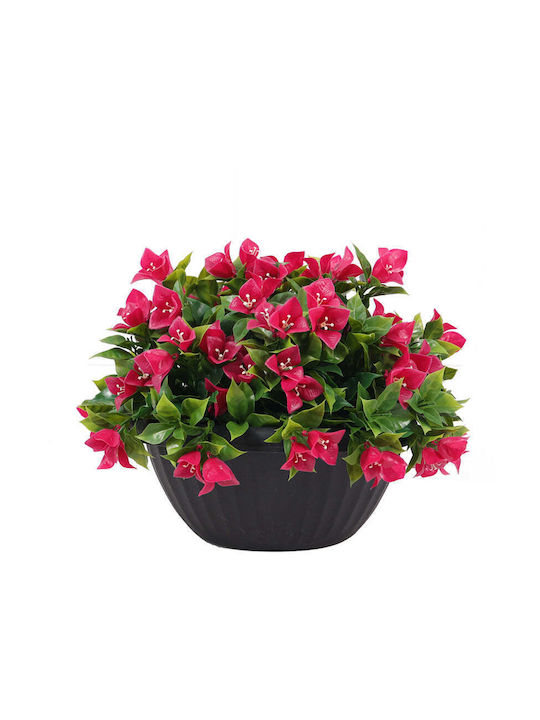 Decorative Greenery Hanging Basket Rossima Bougainvillea