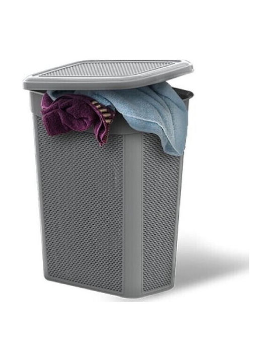 Viosarp Laundry Basket Plastic with Cap 46x29x55cm Gray